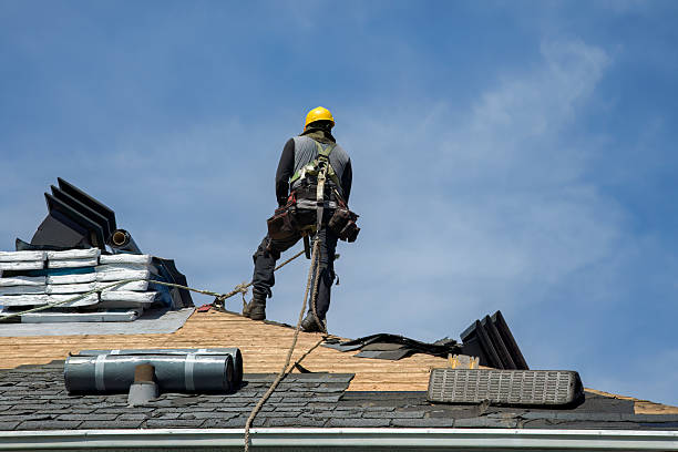 Professional Roof Replacement technician working in Leon, WV